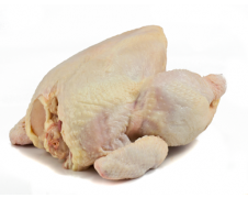 Fresh Organic Chicken Whole without Head & Feet Plain
