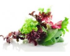 Australia Organic Mixed Salad Greens 200g